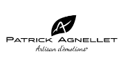 agence de prospection digitale - Client Patrick Agnellet